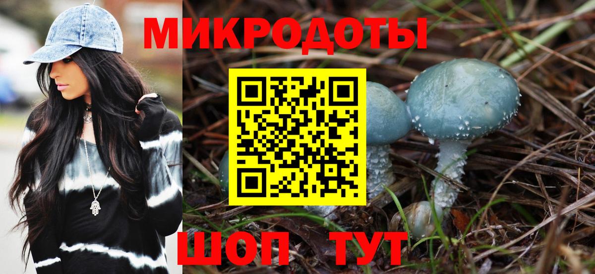 Галлюциногенные грибы мухоморы Железногорск