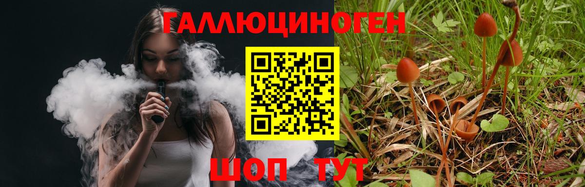 Псилоцибиновые грибы MAGIC MUSHROOMS  Галлюциногенные грибы ЛСД  Вход с VPN  Железногорск 